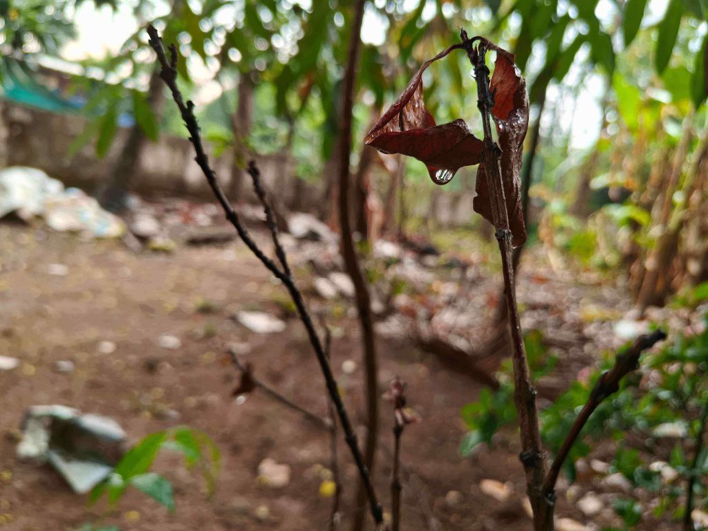 shot on oneplus 11 back camera